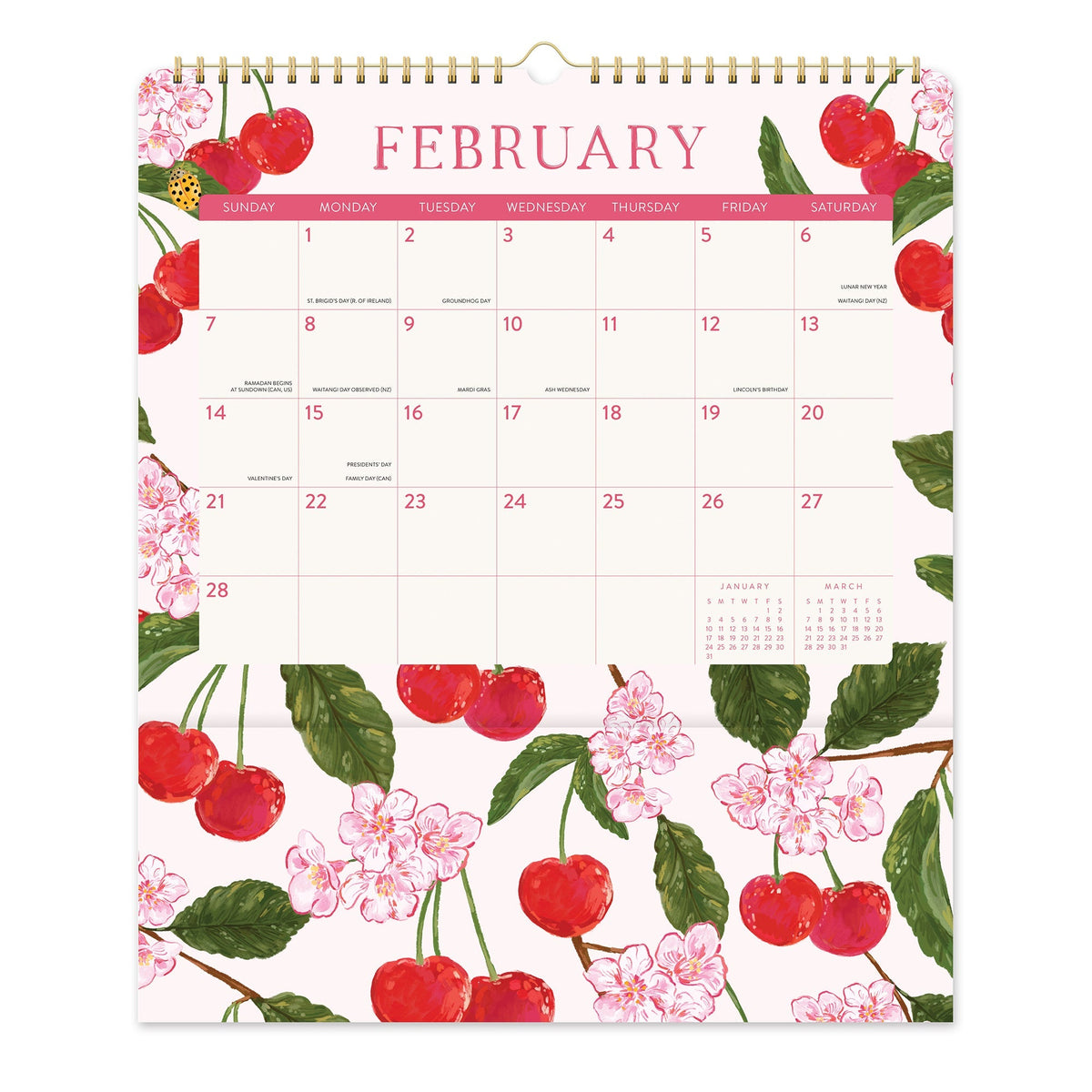 Orange Circle 2027 Pockets Plus Wall Calendar 297 x 348mm Fruit And Flora