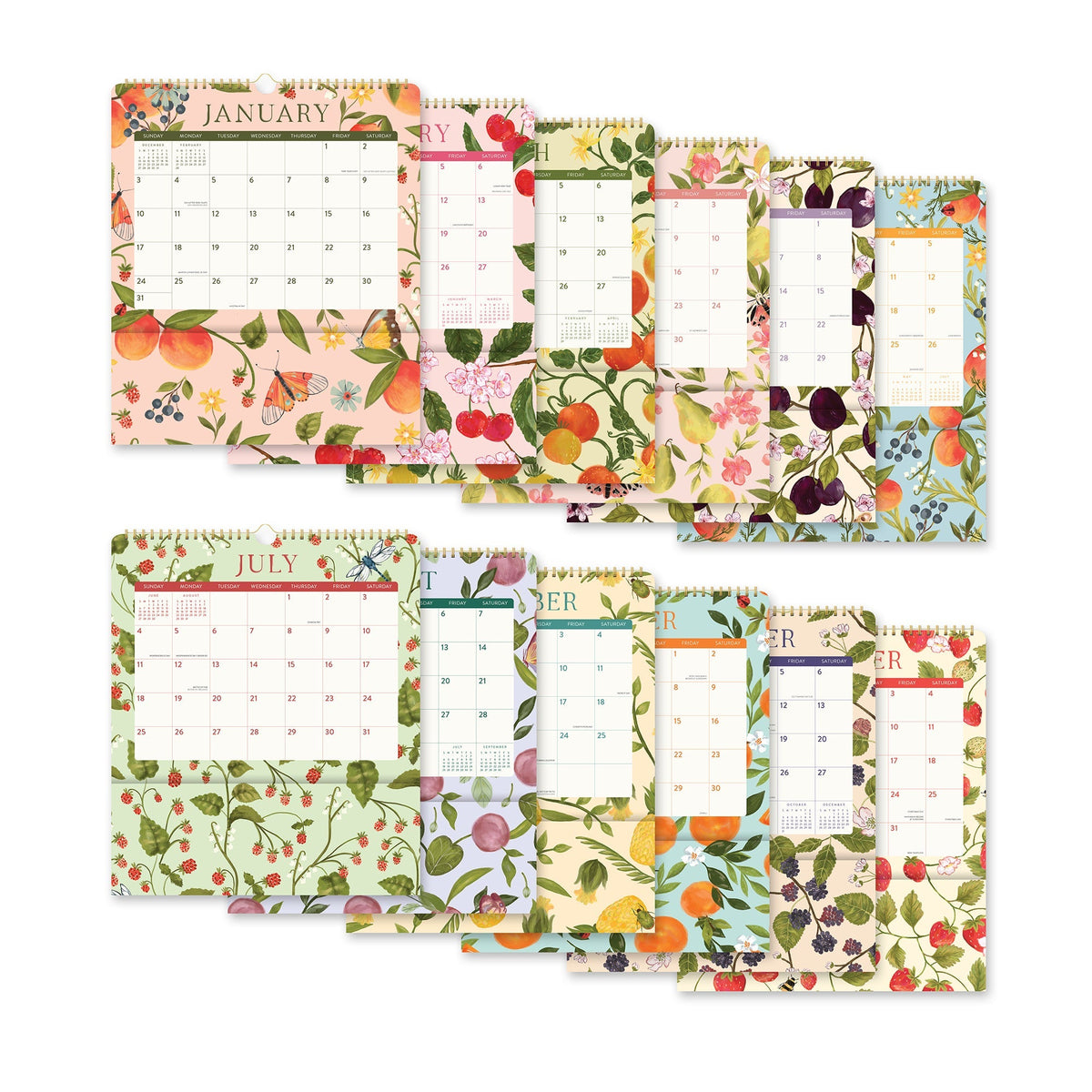 Orange Circle 2027 Pockets Plus Wall Calendar 297 x 348mm Fruit And Flora