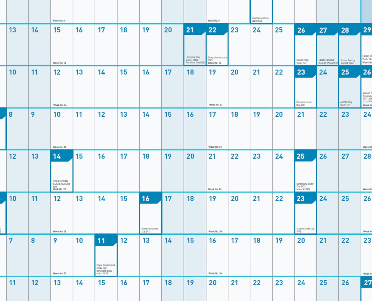 Sasco 2027 Standard Year Planner 870 x 610mm