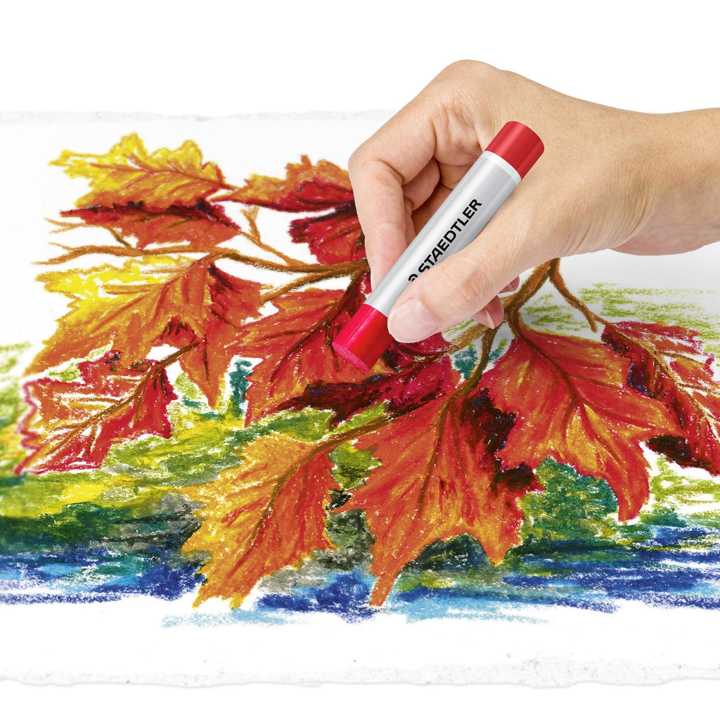 Staedtler Oil Pastels Box 12 Assorted 2420 C12