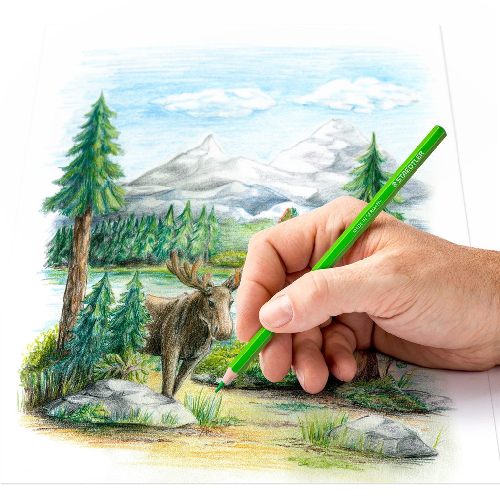 Staedtler Coloured Pencils Tin 48 146C M48