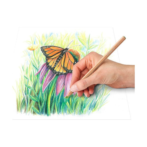 Staedtler Pastel Pencils Assorted Tin 12 146P M12