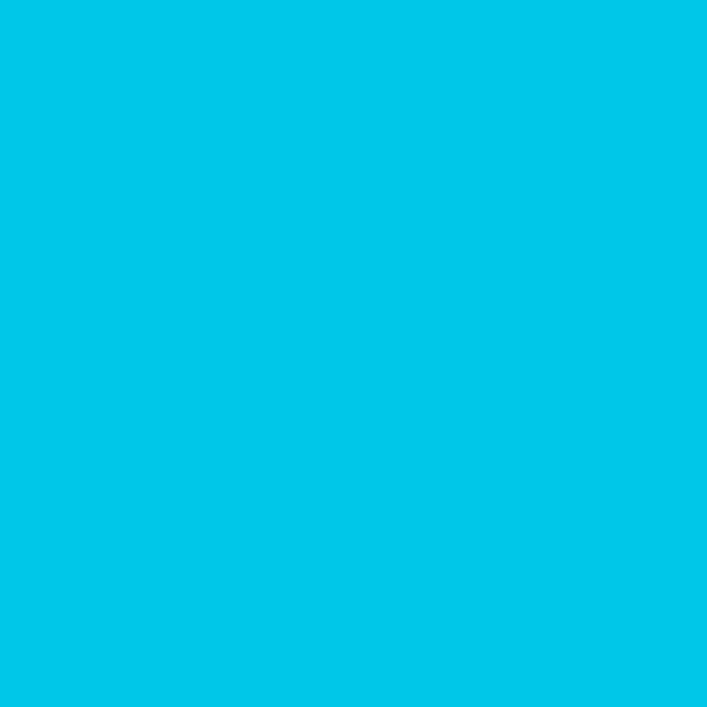 Fimo Soft Standard Block Peppermint
