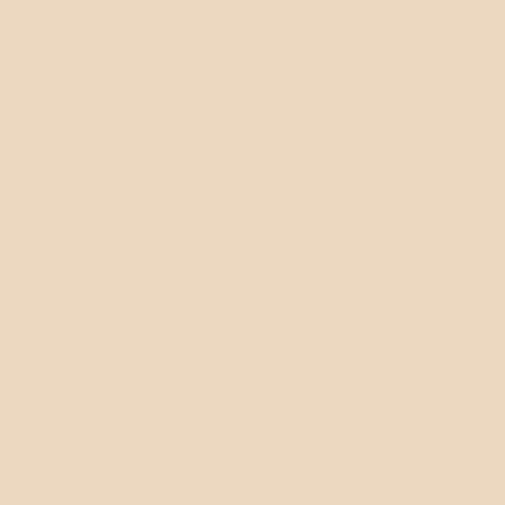 Fimo Soft Standard Block Sahara