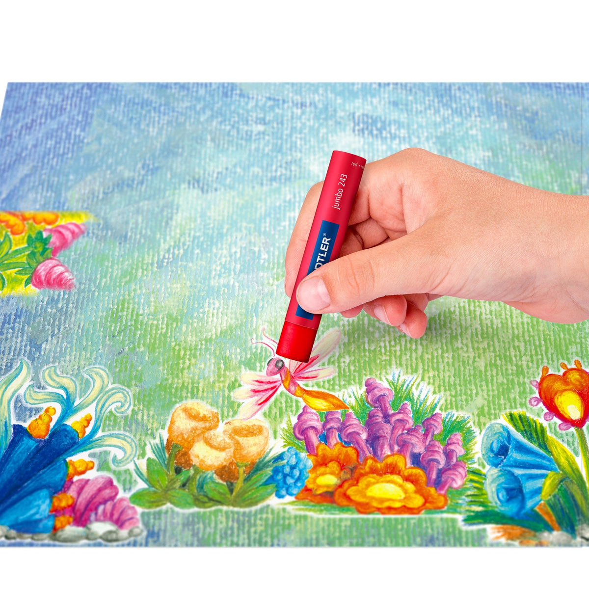 Staedtler Jumbo Oil Pastels Assorted 24 Colours 243 NC24