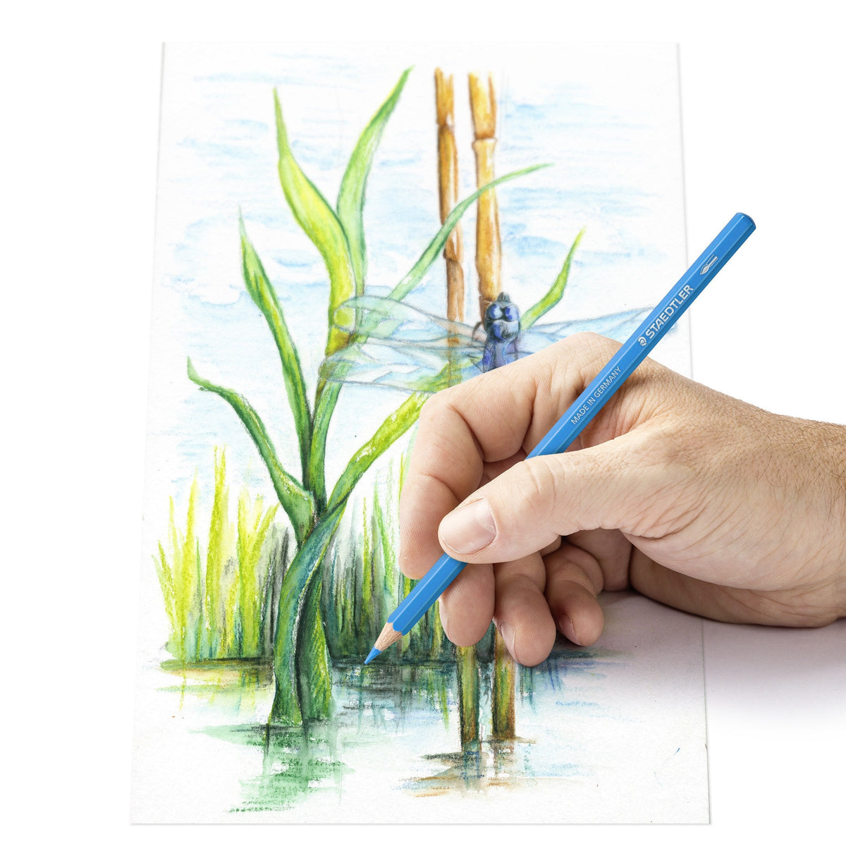 Staedtler Watercolour Pencils Tin 24 Assorted 14610C M24