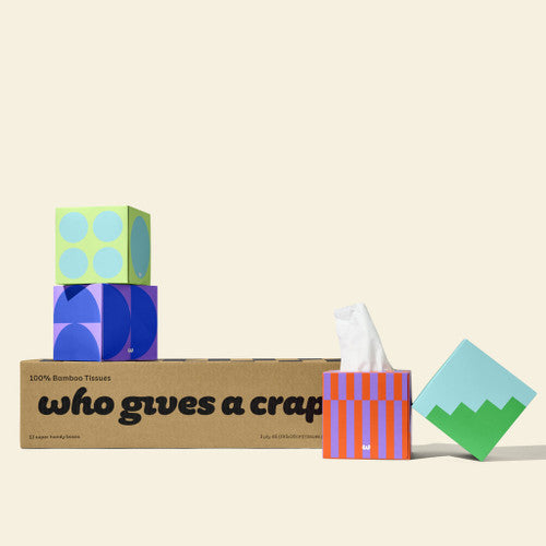 Who Gives A Crap Bamboo Facial Tissues 65 Sheets Carton of 12