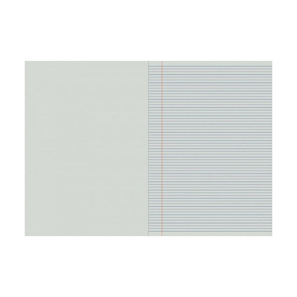 Writer Premium Project Book A4 48 Page Plain Plus 14mm Dotted Thirds with Margin Balloons Pack of 20
