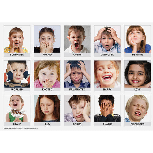 Zart Emotion Art and Language Charts A3