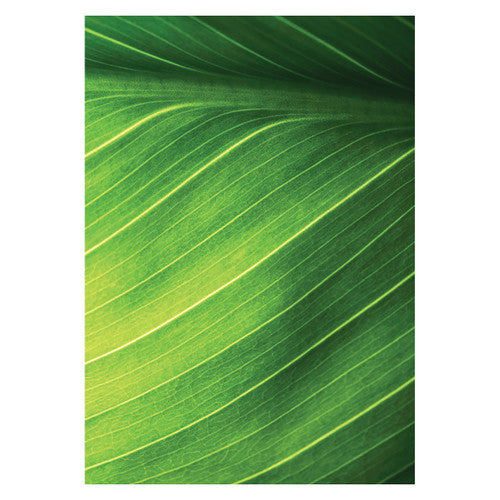 Zart Foliage Pattern Papers A4 Pack of 40