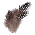 Zart Guinea Fowl Feathers Natural 10g
