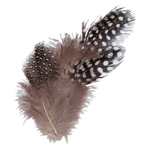 Zart Guinea Fowl Feathers Natural 10g