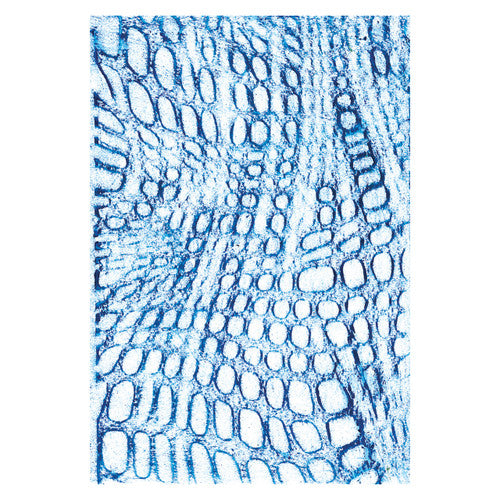 Zart Large Texture Rubbing Plates Pack of 8