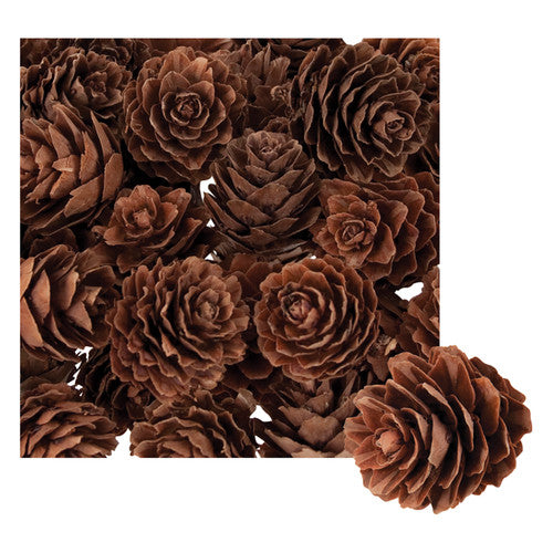 Zart Mini Pine Cones 190g