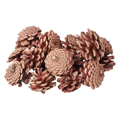 Zart Pine Cones 200g