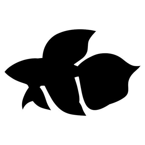 Zart Scratch Fish Pack of 24