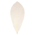 Zart Skeleton Leaves Natural Pack of 100