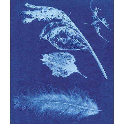 Zart Sun-Sensitive Paper 20 x 30cm Pack of 15