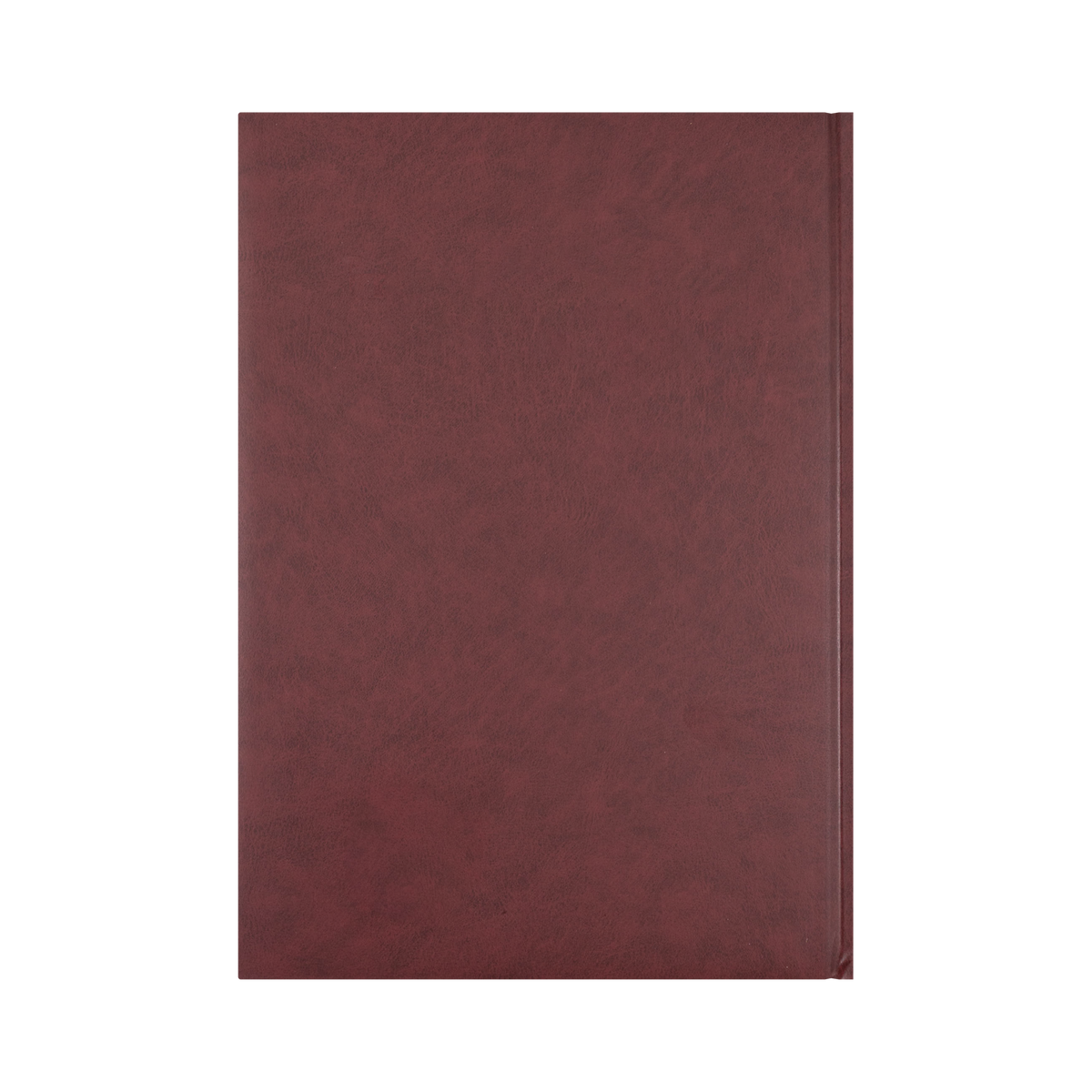 Collins Appointment Diary 2027 A4 2 Pages to a Day Burgundy