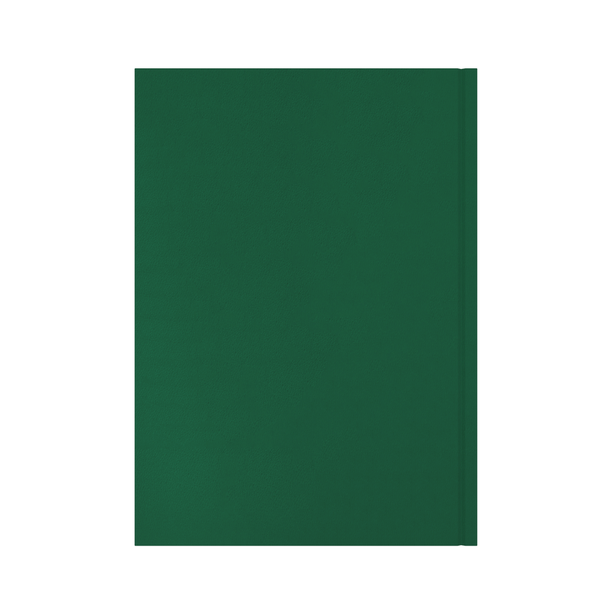 Collins Essential Diary 2027 A4 Day to a Page Green