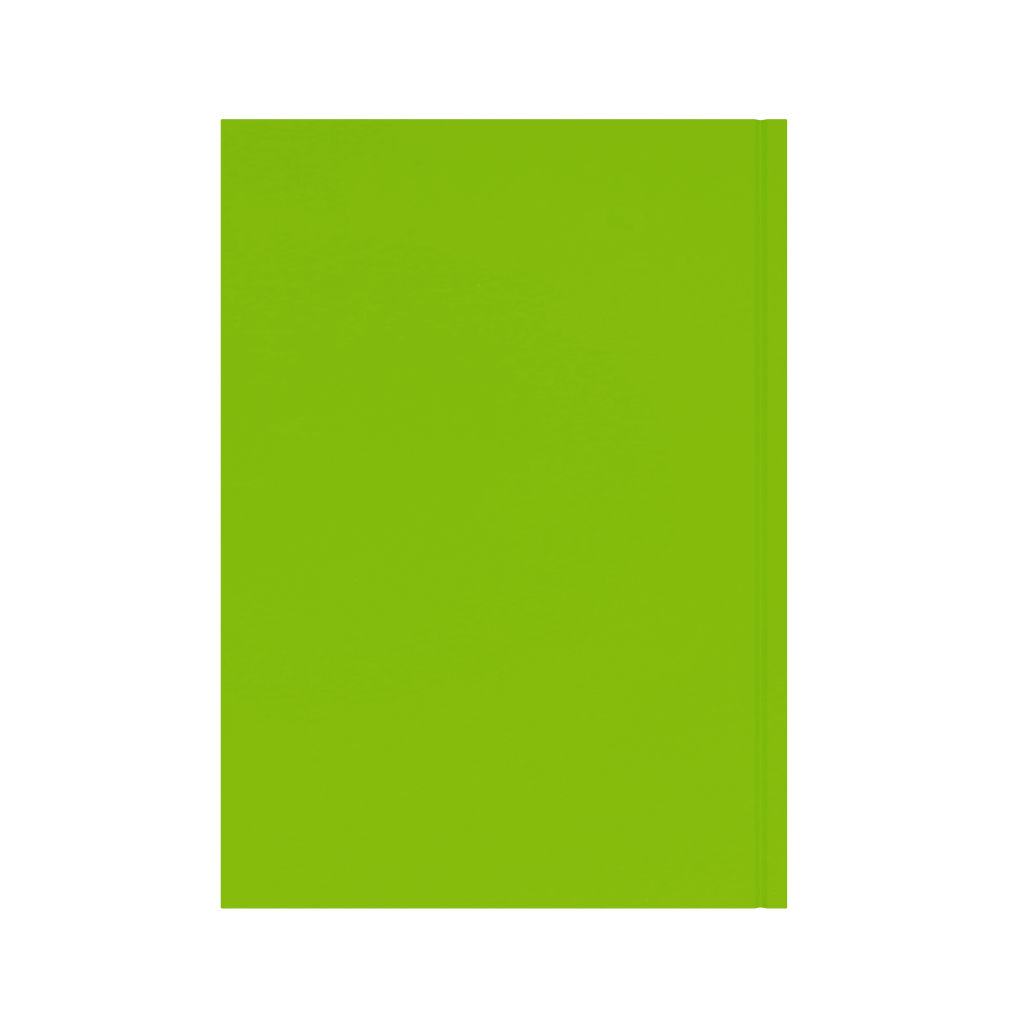 Collins Essential Diary 2027 A4 Week to View Lime