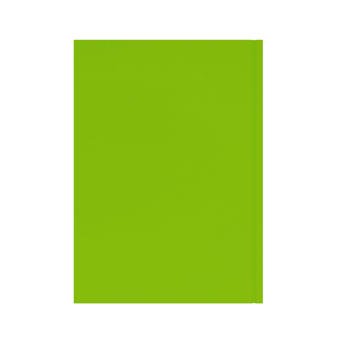 Collins Essential Diary 2027 A4 Week to View Lime