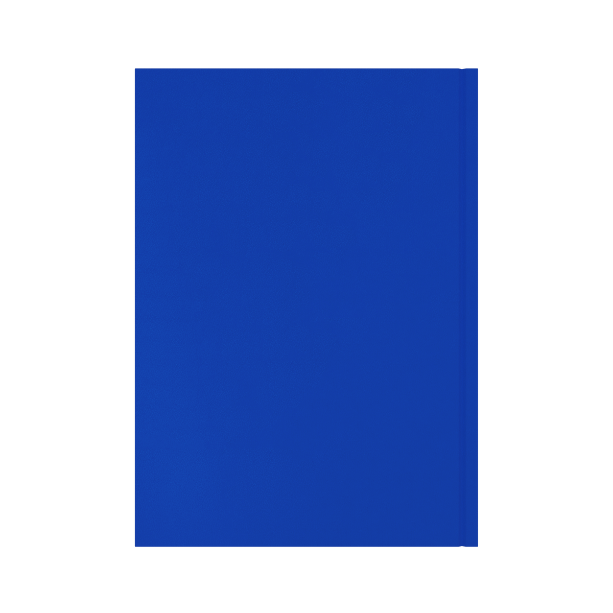 Collins Essential Appointment Diary 2027 A4 Day to a Page Blue