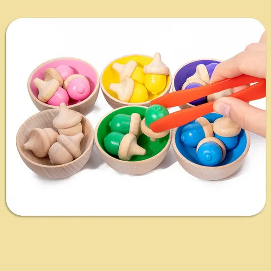 Wooden Colour Sorting Set 29 Pieces