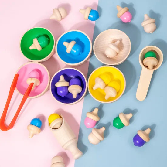 Wooden Colour Sorting Set 29 Pieces
