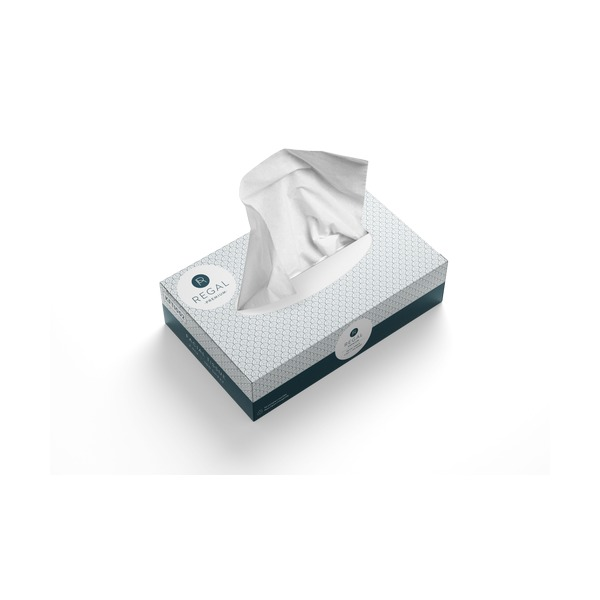 Regal Facial Tissue 2 Ply 100 Sheets Box of 48