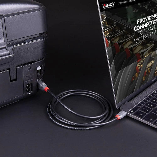 Lindy 3m USB 2.0 Type C to B Cable Anthra Line