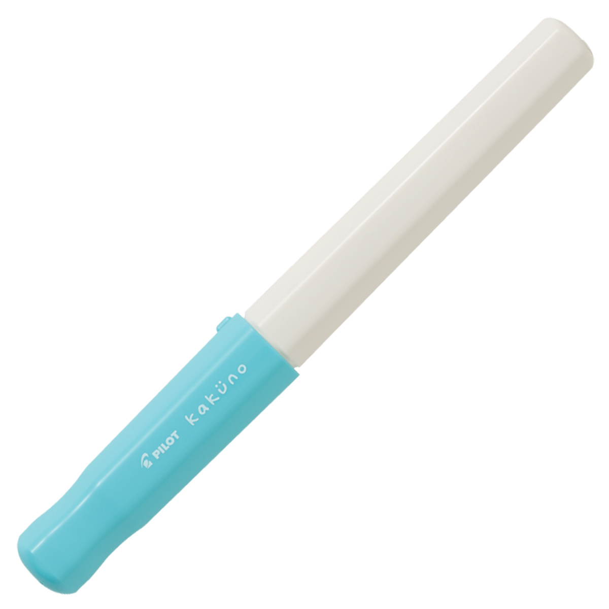 PILOT BegreeN Kakuno Fountain Pen Fine Nib Soft Blue Cap - new packaging