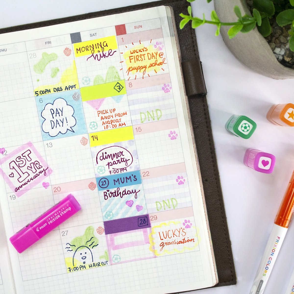 PILOT FriXion Fineliner Erasable Marker Wallet 6 assorted colours