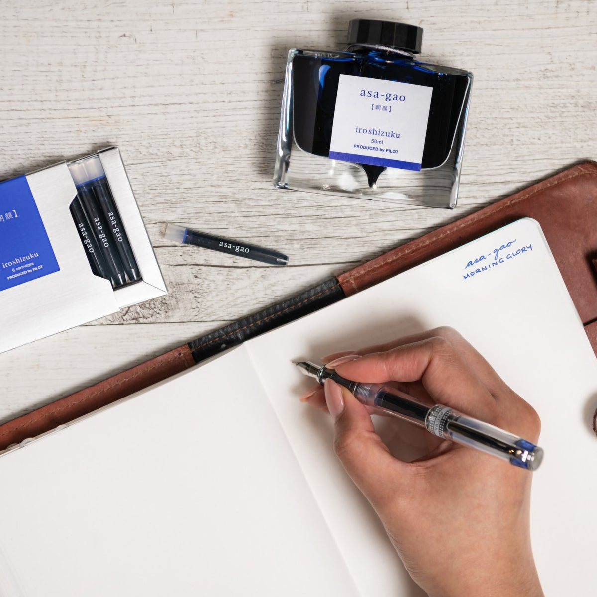 Pilot Iroshizuku Fountain Pen Ink Cartridge Morning Glory (Asa-gao) Pack 6