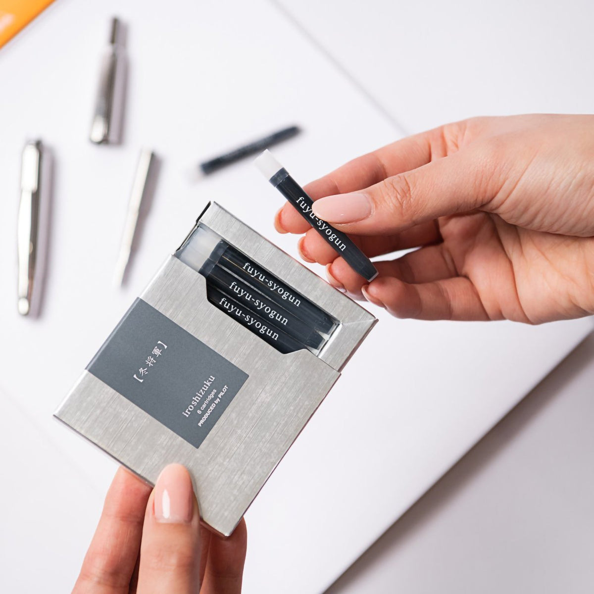 Pilot Iroshizuku Fountain Pen Ink Cartridge Old Man Winter (Fuyu-syogun) Pack 6
