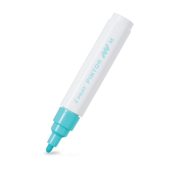 Pilot Pintor Paint Marker Medium Tip Pastel Green