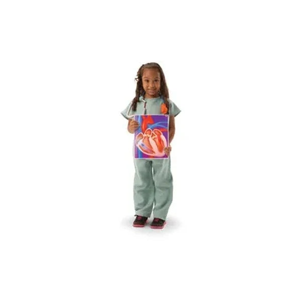My Body In Action Animation Cards Set of 10
