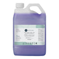 Regal Ready Clean Pine Oil Based Cleaner 5 Litre