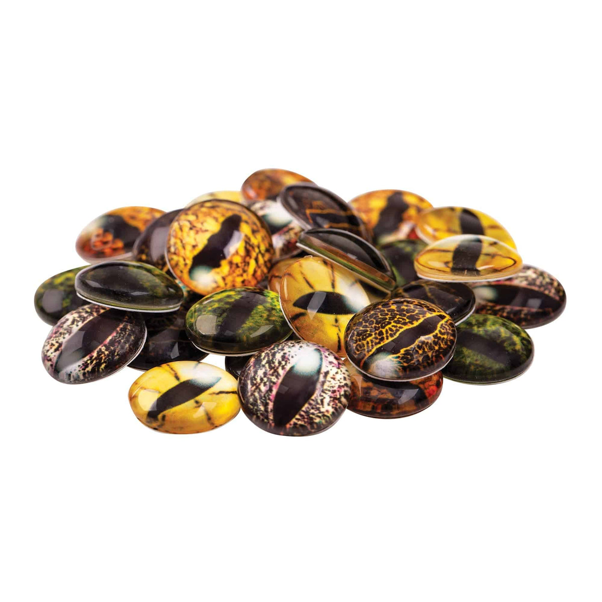Reptile Eyes 15mm Pack of 30 Glass Domed Cabochon Snake Eyes