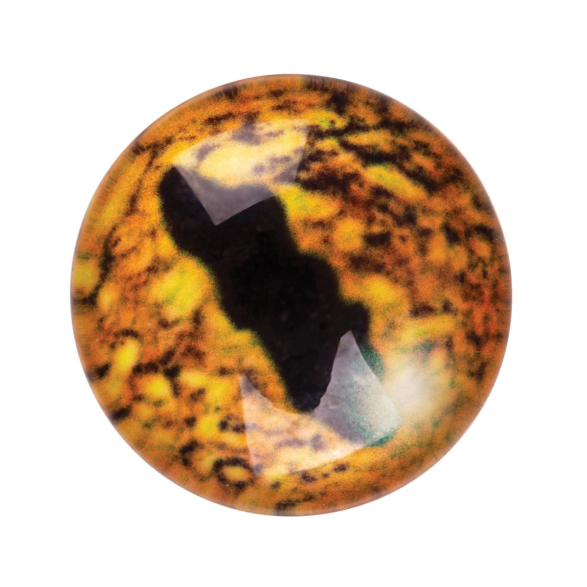 Reptile Eyes 15mm Pack of 30 Glass Domed Cabochon Snake Eyes