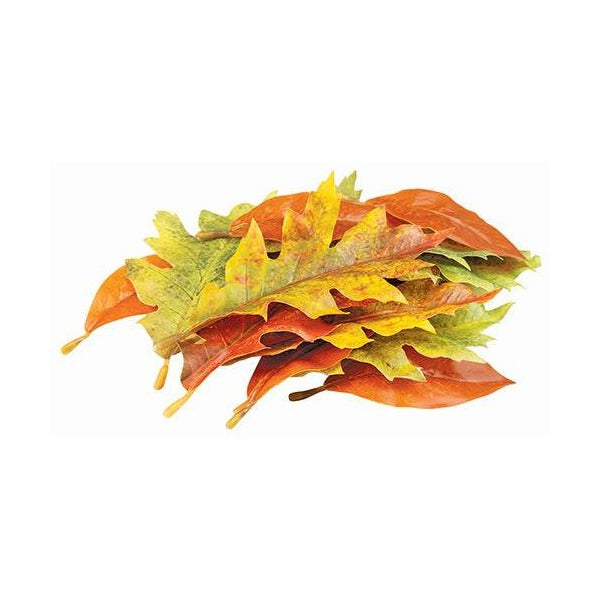 Zart Autumn Leaves Assorted Plastic Pack of 50 Printed Natural Colouring