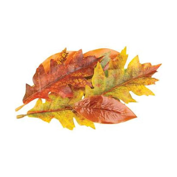 Zart Autumn Leaves Assorted Plastic Pack of 50 Printed Natural Colouring