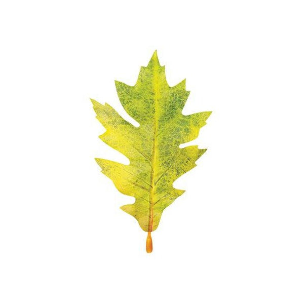 Zart Autumn Leaves Assorted Plastic Pack of 50 Printed Natural Colouring