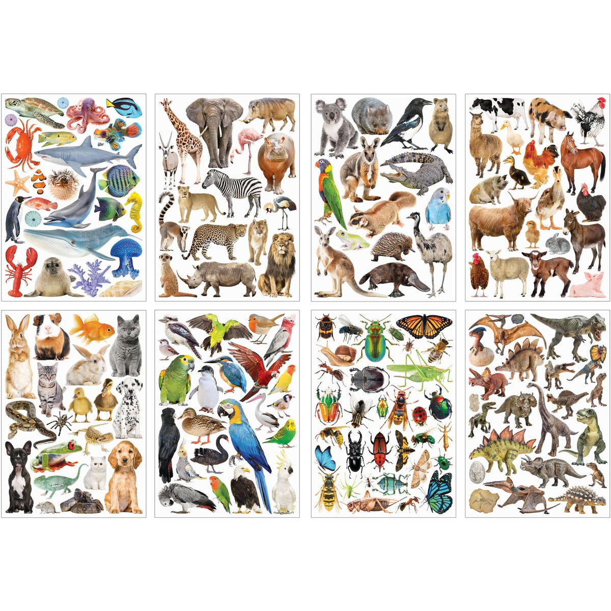 Zart Collage Collections Creatures Pack of 40 Printed Cut-Out Papers