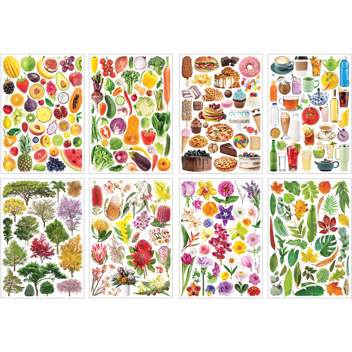 Zart Collage Collections Thrive Pack of 40 Printed Cut-Out Papers