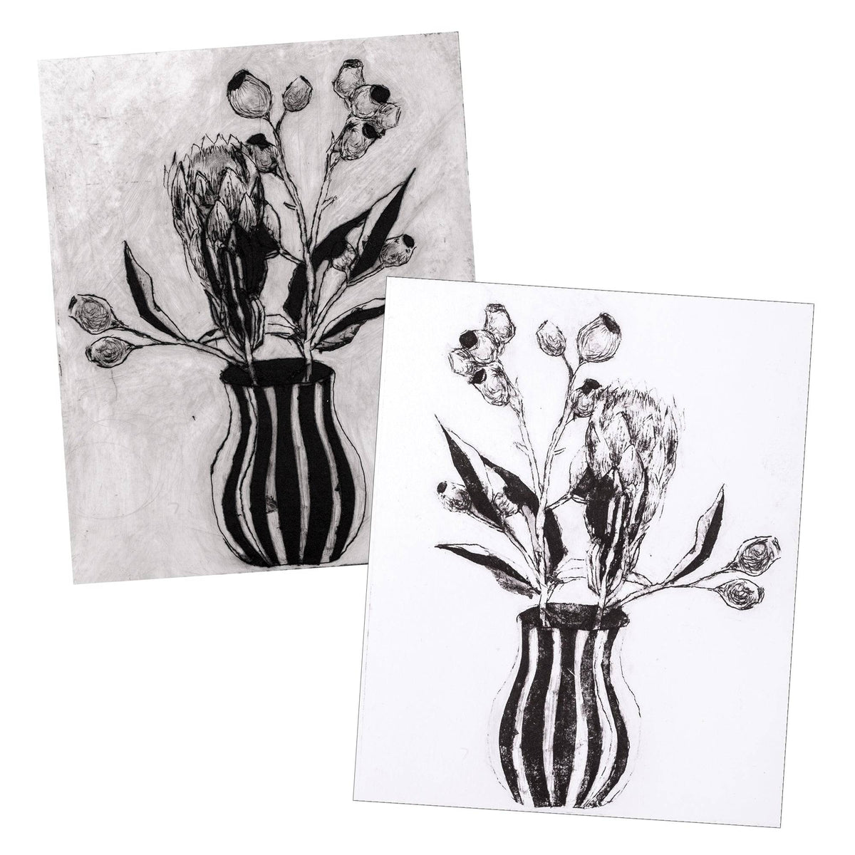 Drypoint Etching Cardboard Pack of 30 No Acid No Special Tools Needed